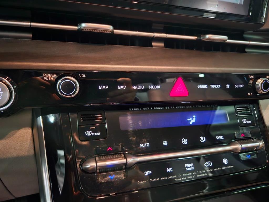 KIA Carnival - Vista 11