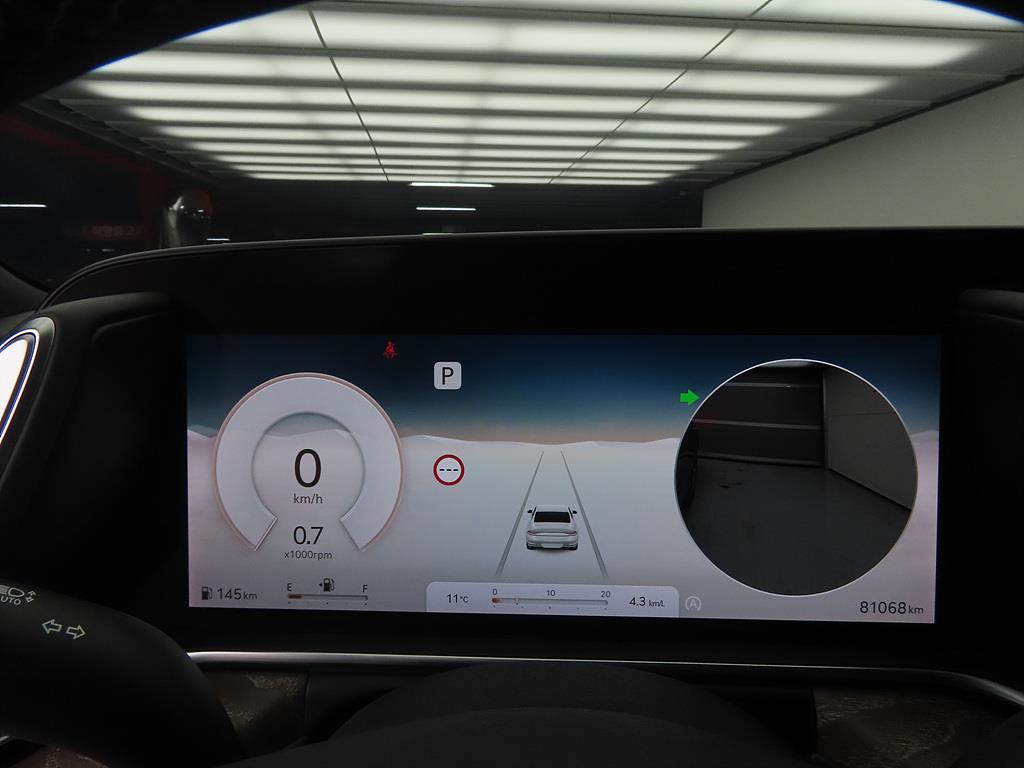 Genesis G90 - Vista 12