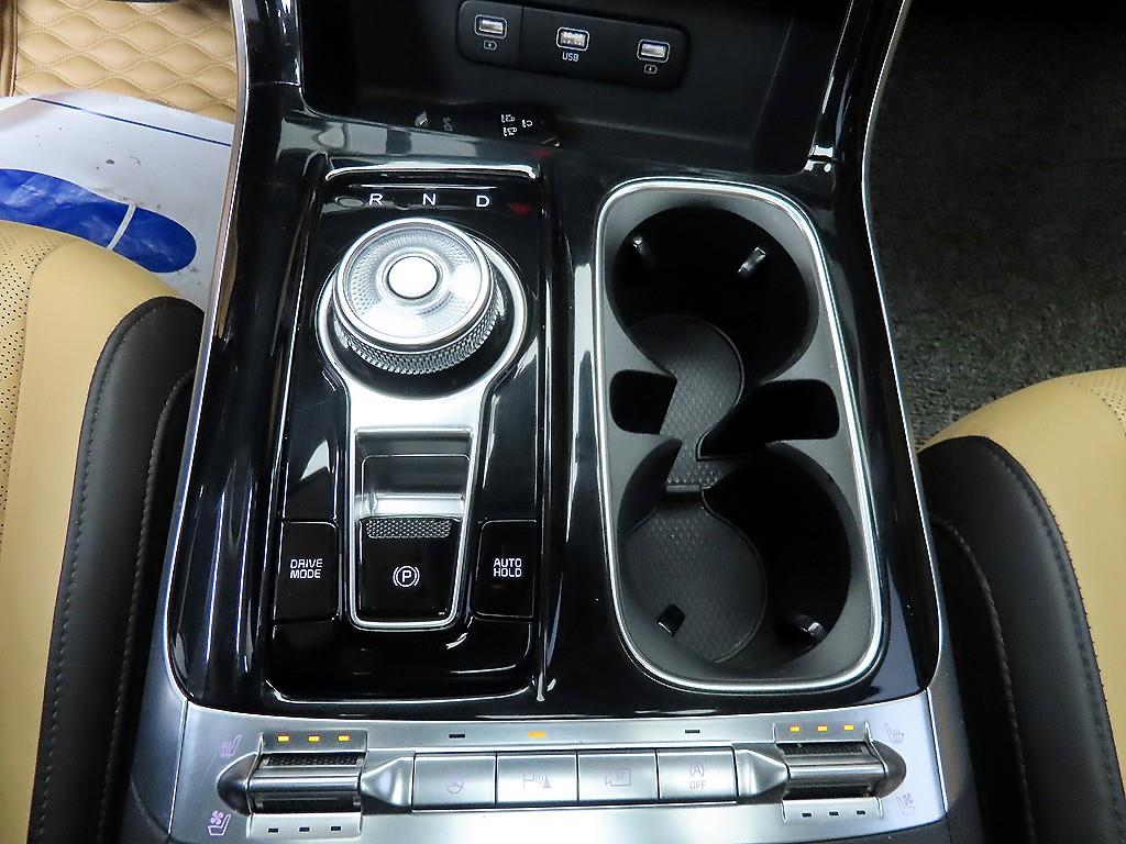 KIA Carnival - Vista 10