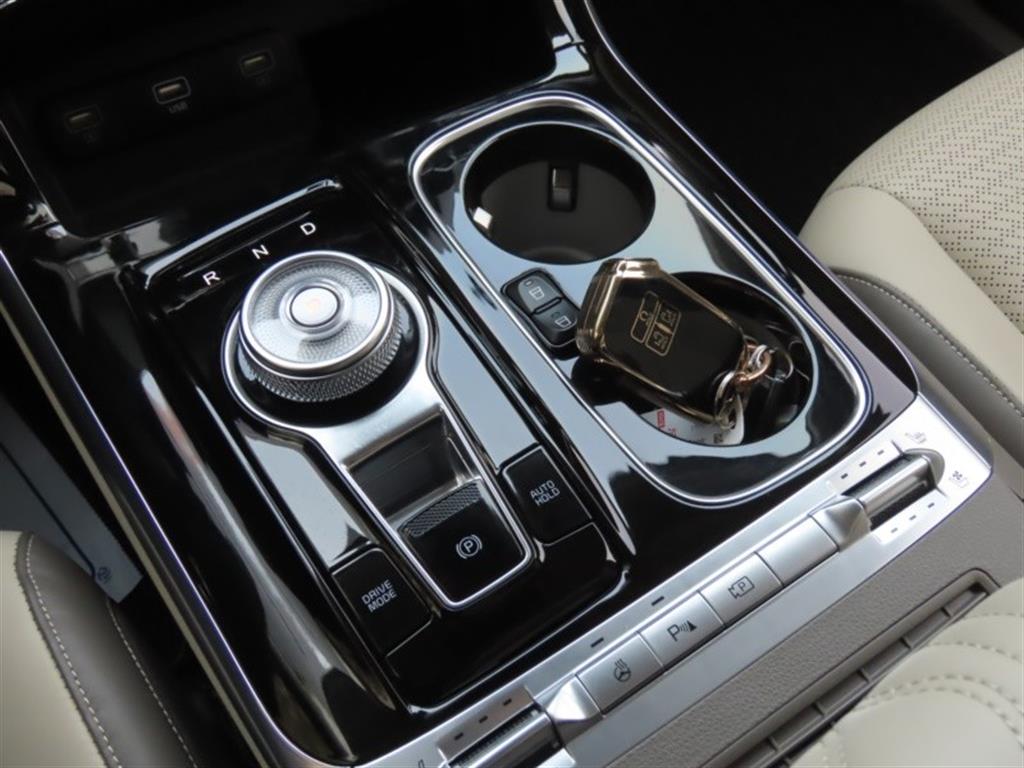 KIA Carnival - Vista 11