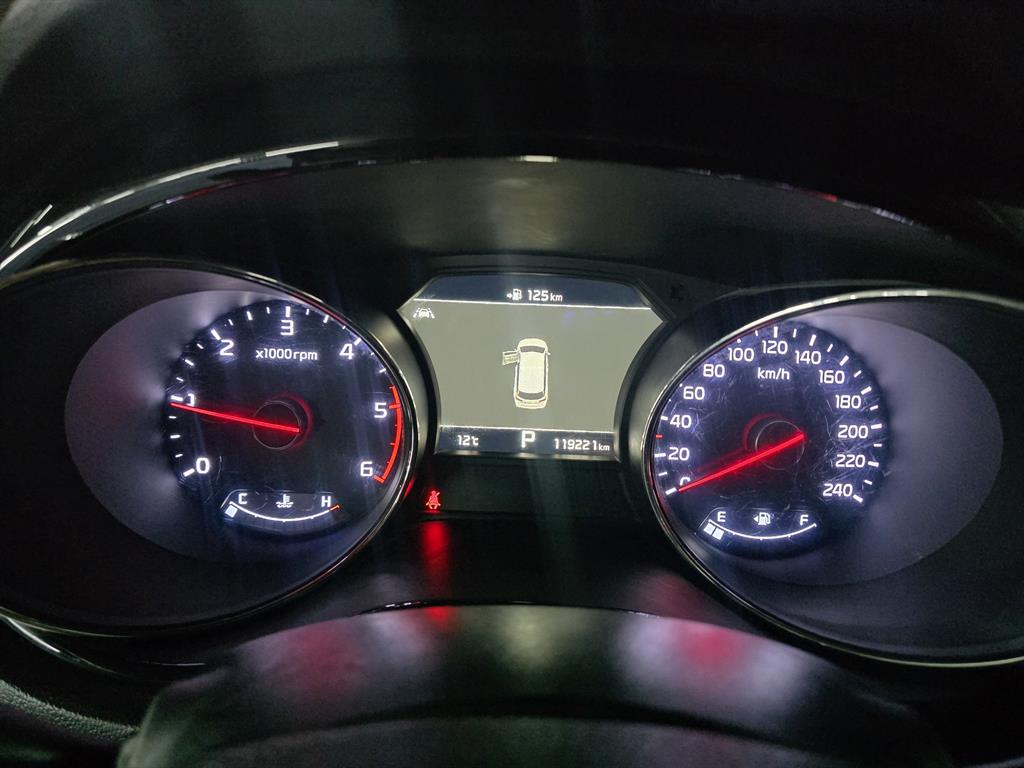 KIA Carnival - Vista 12