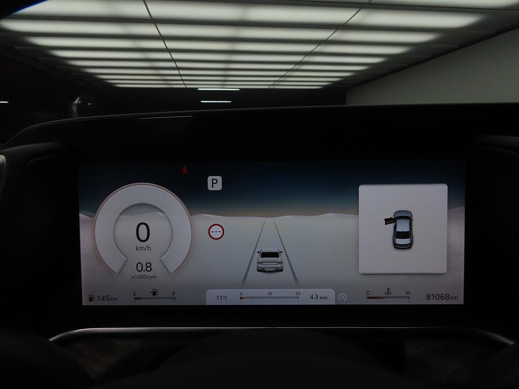 Genesis G90 - Vista 9