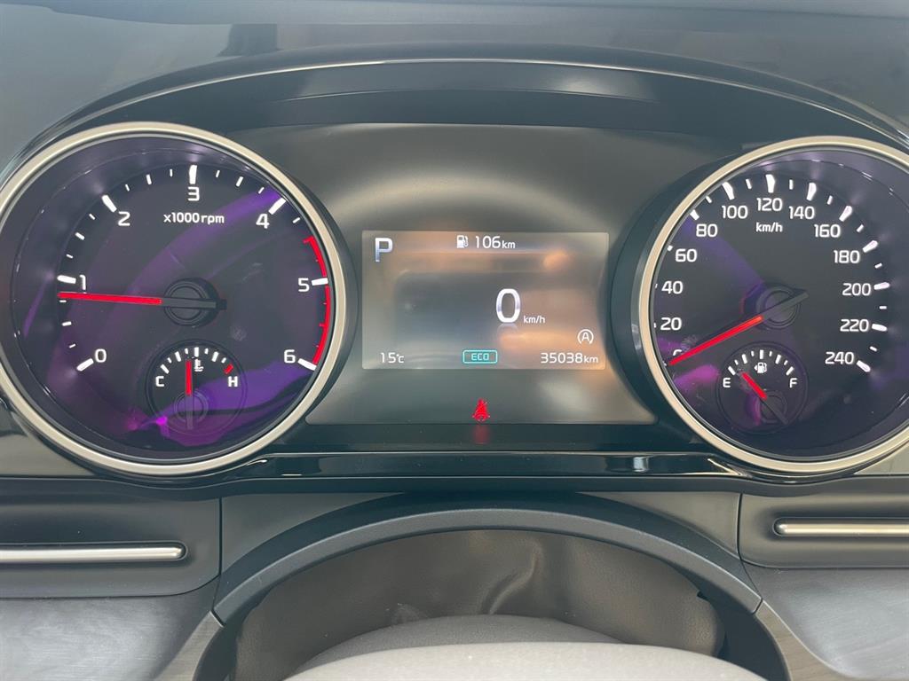 KIA Carnival - Vista 8