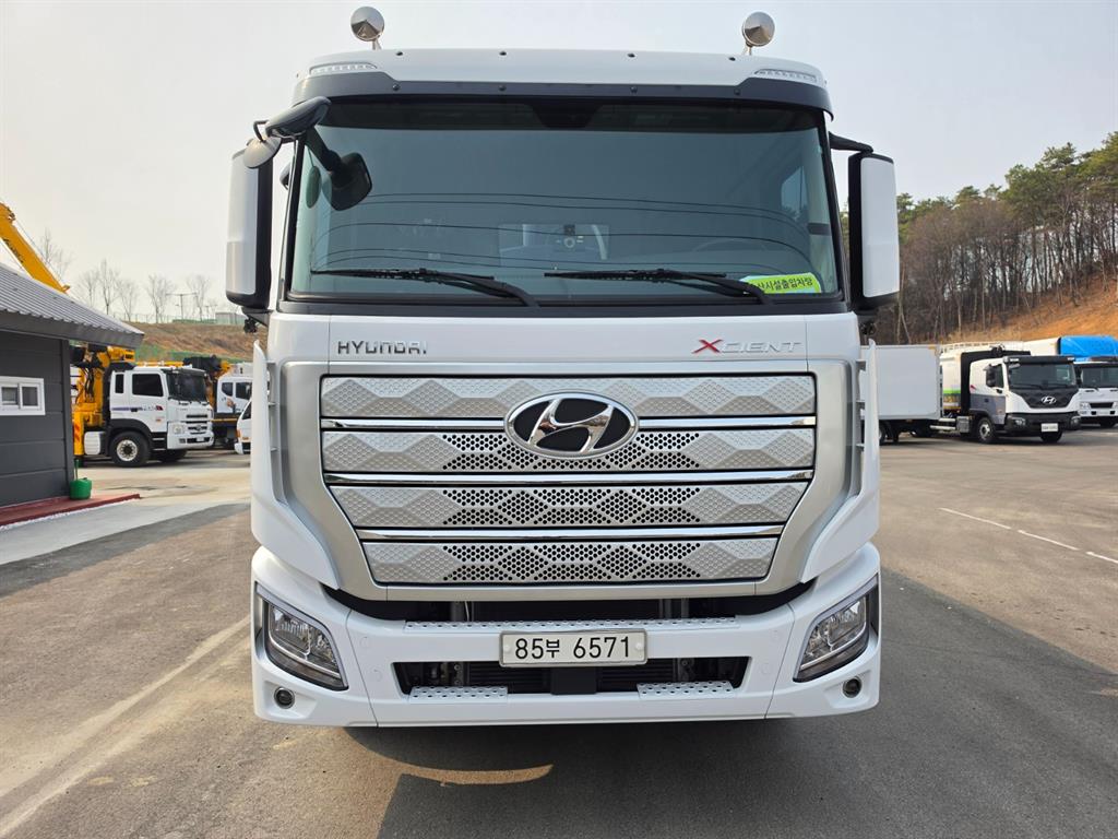 medium and large cargo Rory - Vista 2