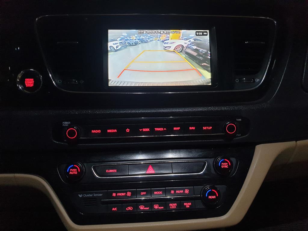 KIA Carnival - Vista 8