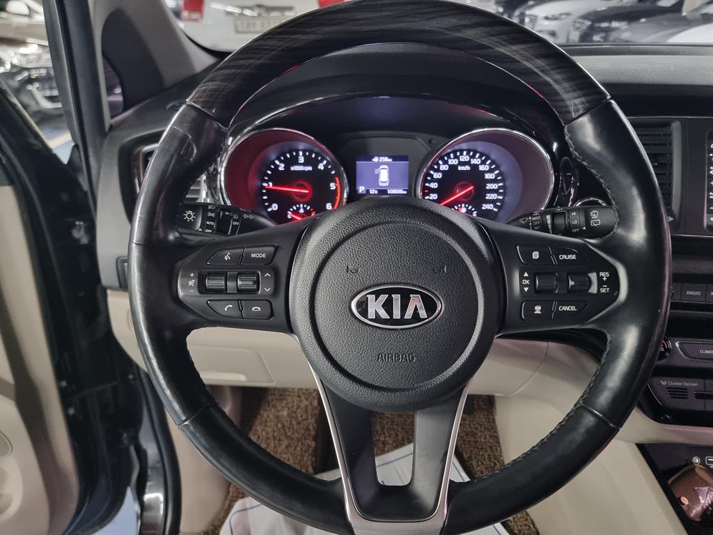 KIA Carnival - Vista 12