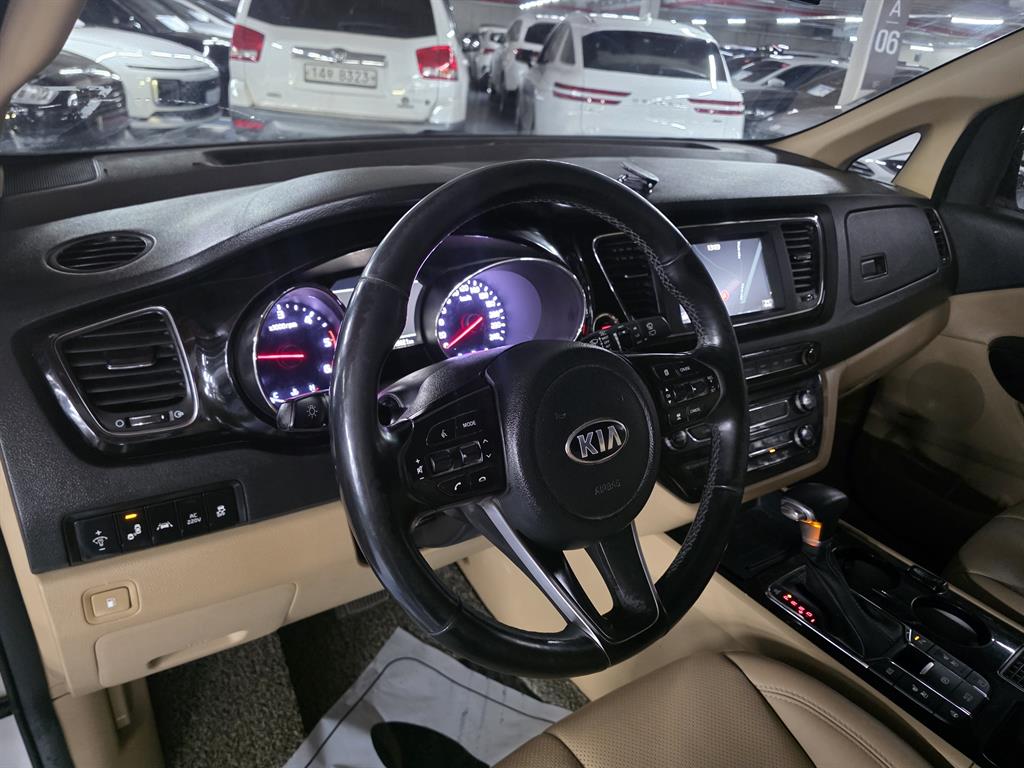 KIA Carnival - Vista 8