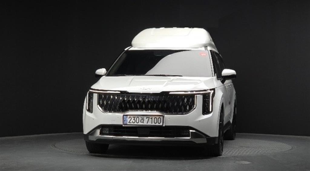 KIA Carnival - Vista 3