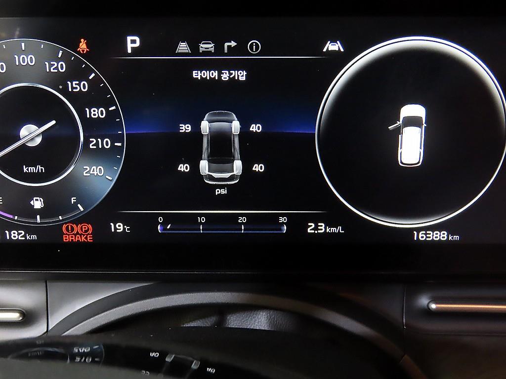 KIA Carnival - Vista 9