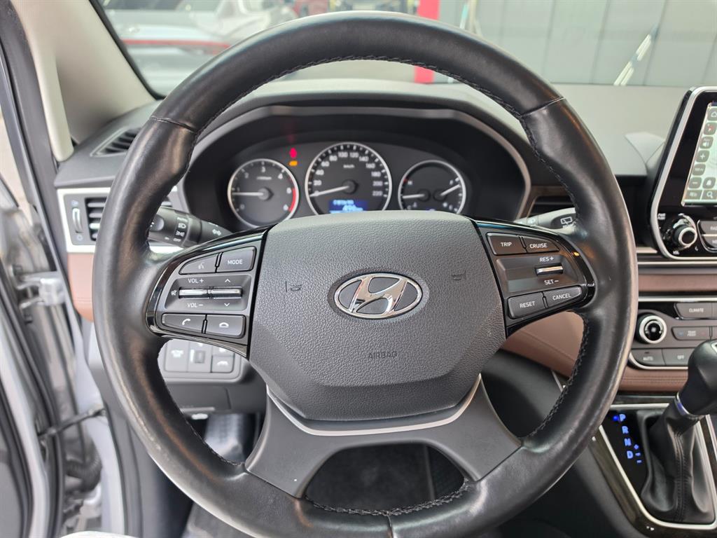 HYUNDAI Starex - Vista 10