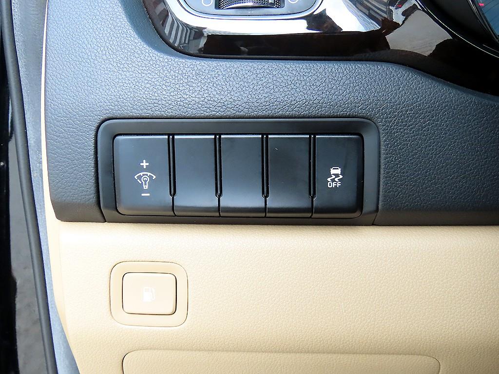 KIA Carnival - Vista 12
