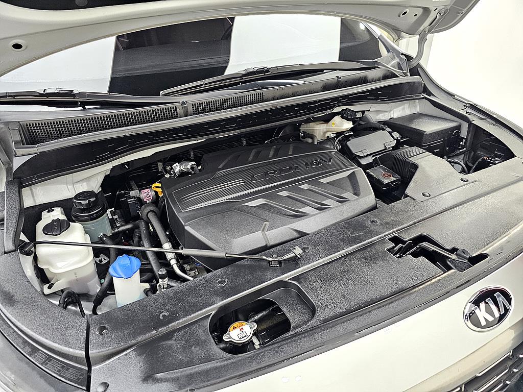 KIA Carnival - Vista 6