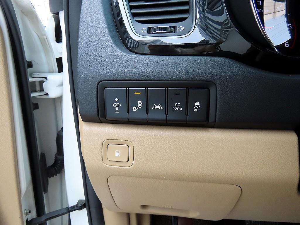 KIA Carnival - Vista 12