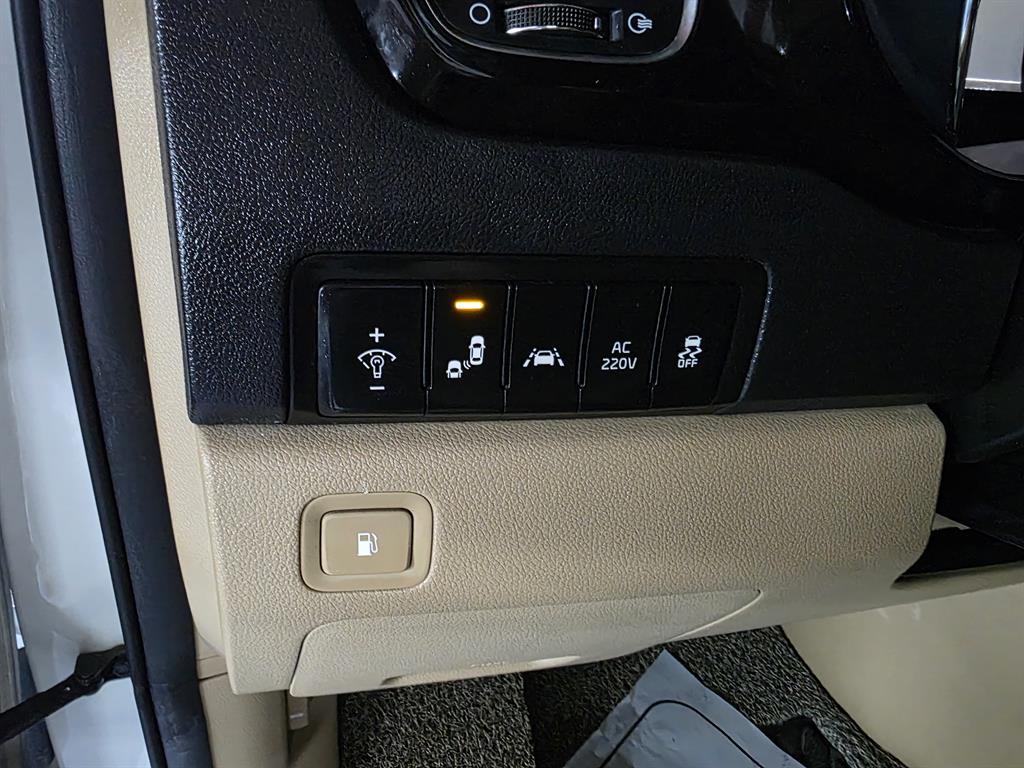 KIA Carnival - Vista 10