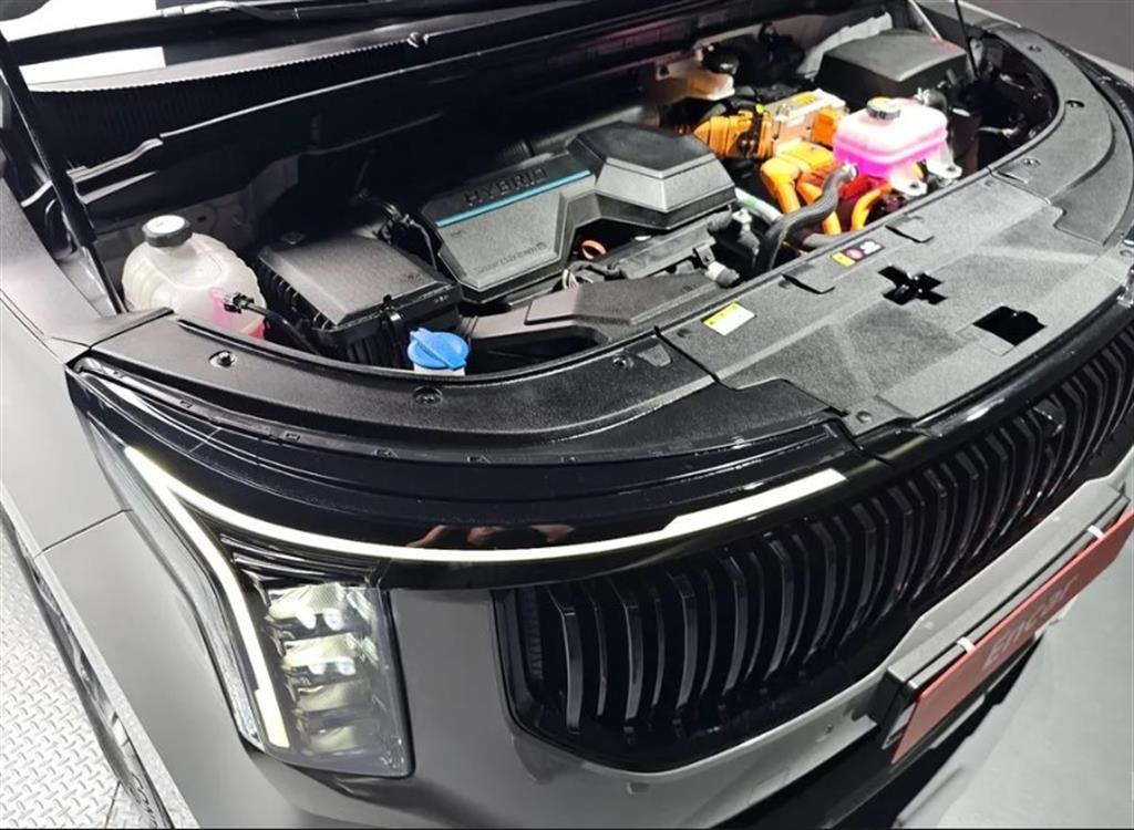 KIA Carnival - Vista 6