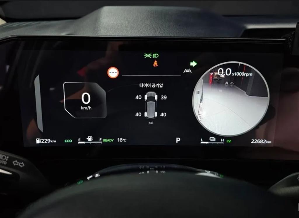 KIA Carnival - Vista 8