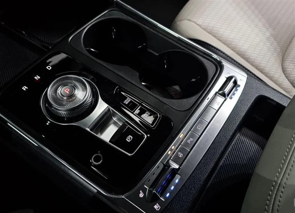 KIA Carnival - Vista 9