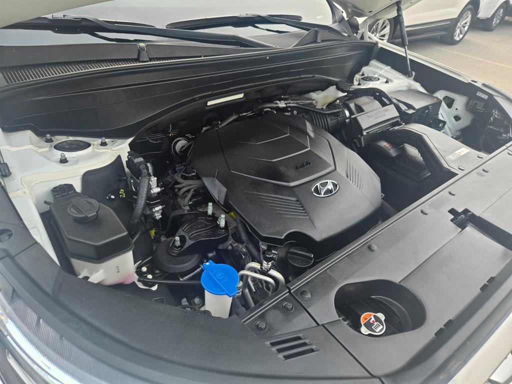 HYUNDAI Palisade - Vista 9