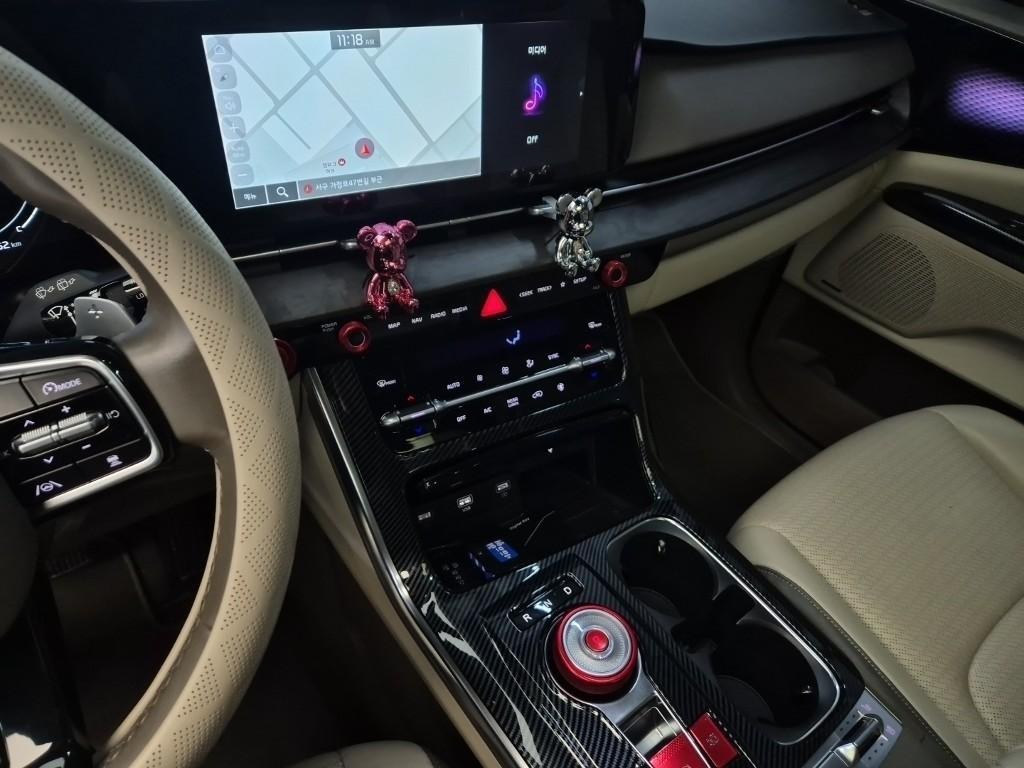 KIA Carnival - Vista 8