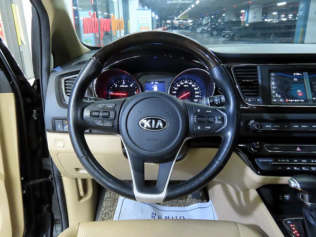 KIA Carnival - Vista 8