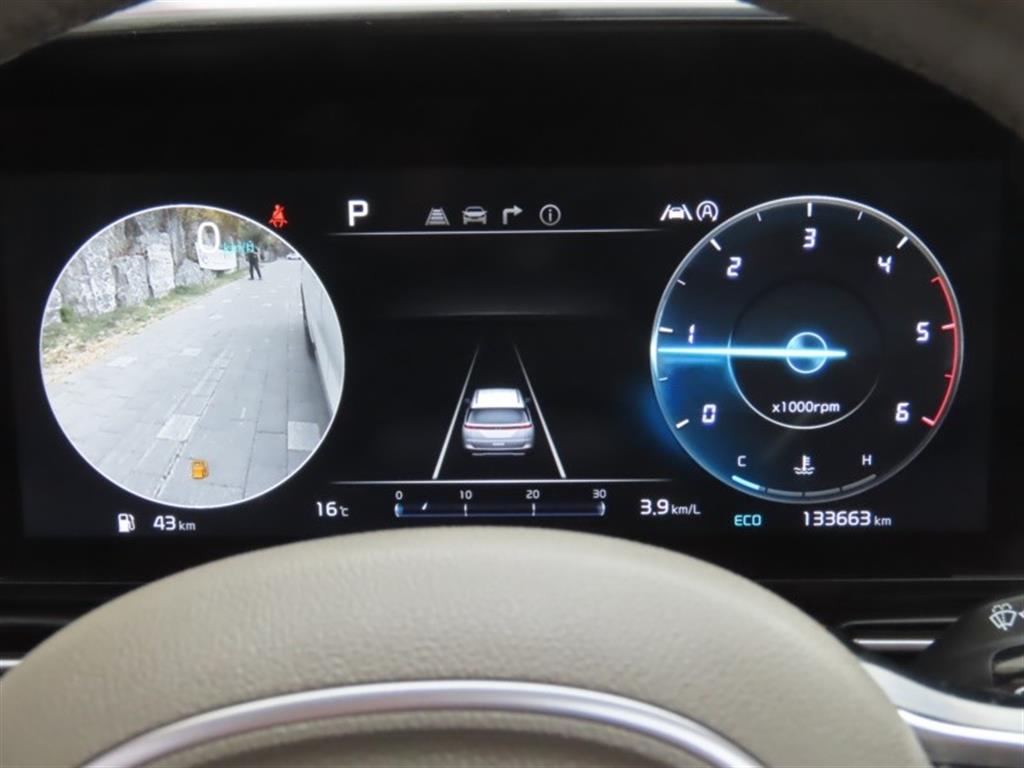 KIA Carnival - Vista 9