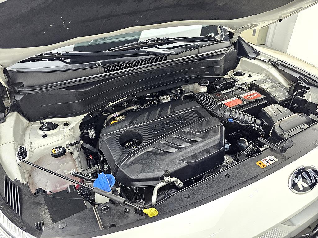 KIA Seltos - Vista 6