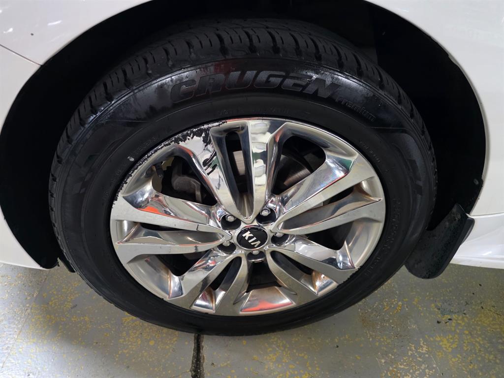 KIA Carnival - Vista 5