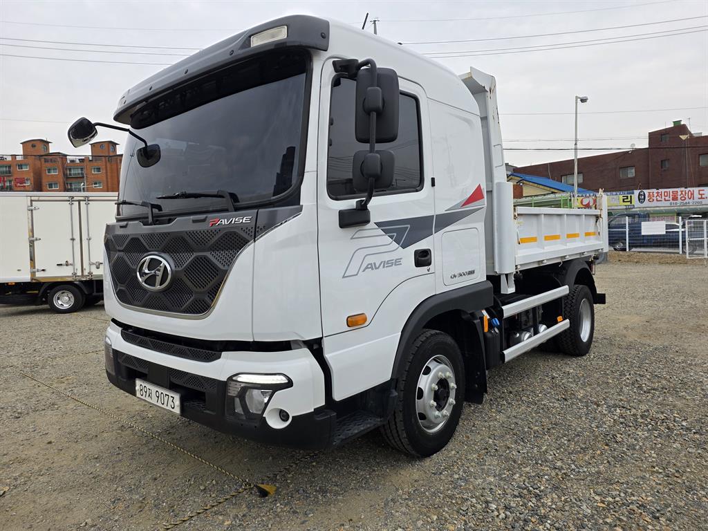 medium and large cargo dump - Vista 3