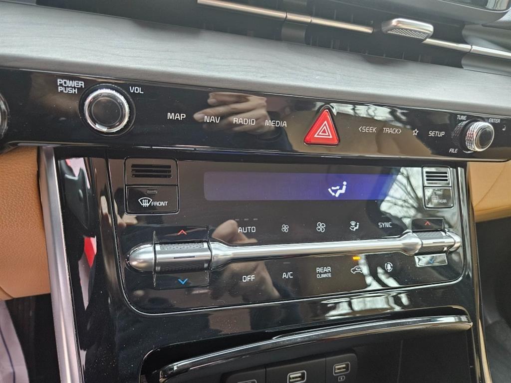 KIA Carnival - Vista 11