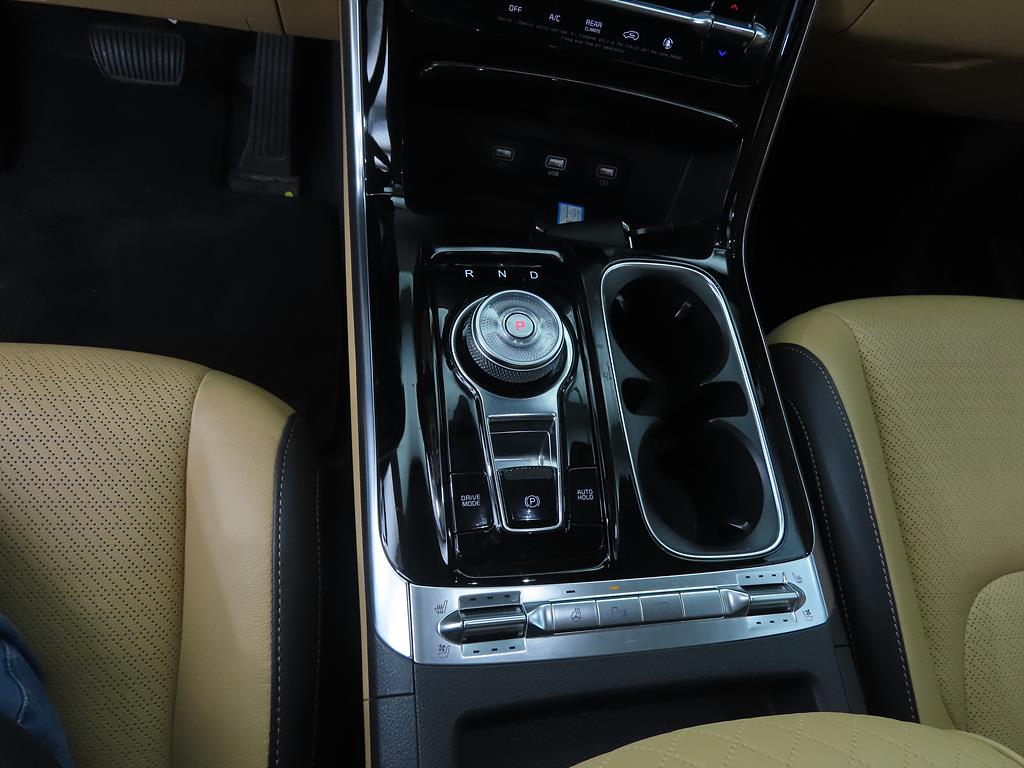 KIA Carnival - Vista 11