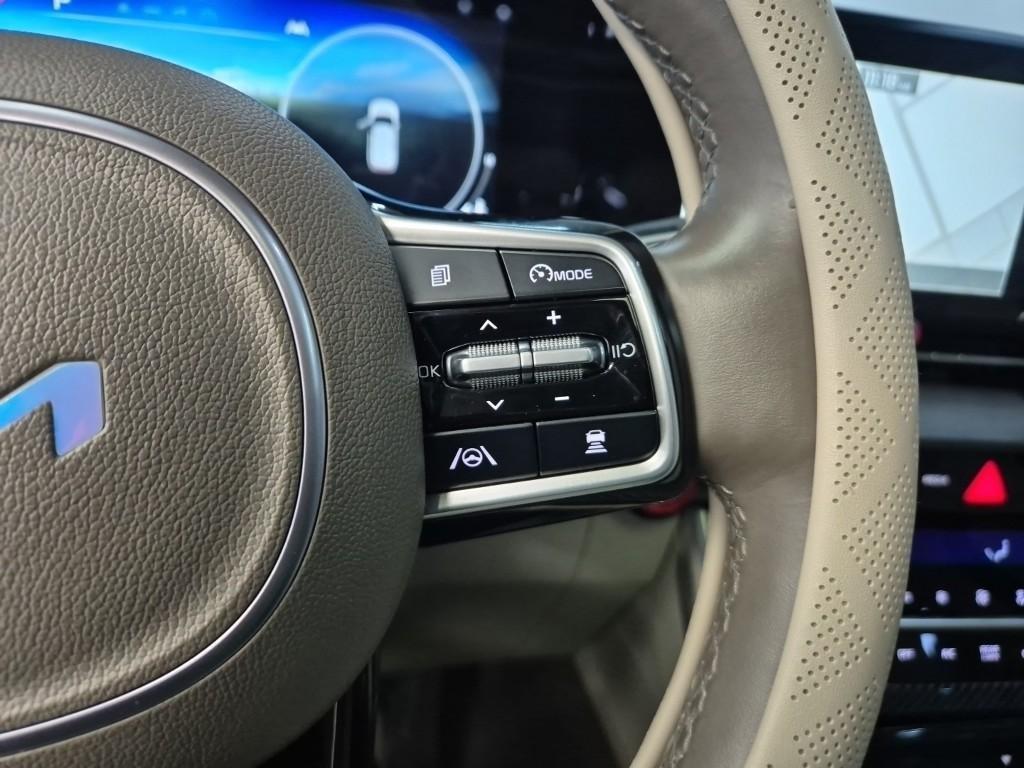 KIA Carnival - Vista 12