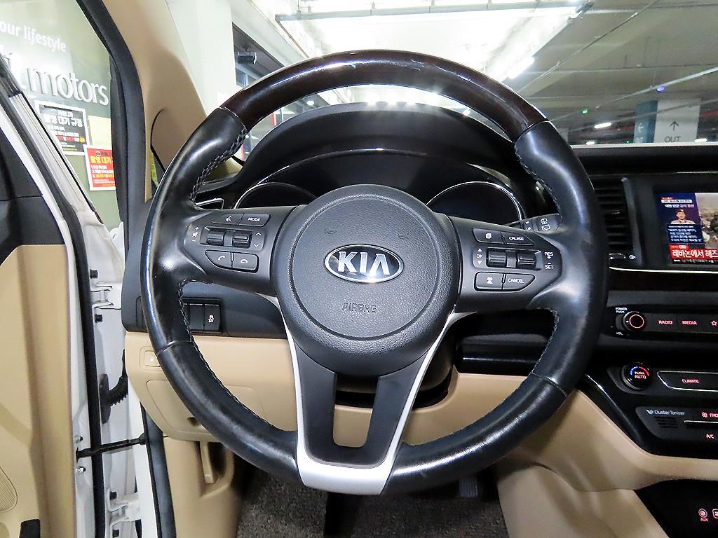 KIA Carnival - Vista 8