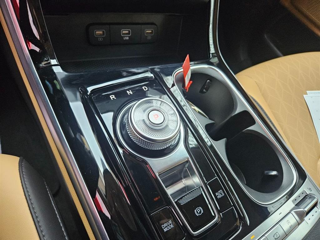 KIA Carnival - Vista 12