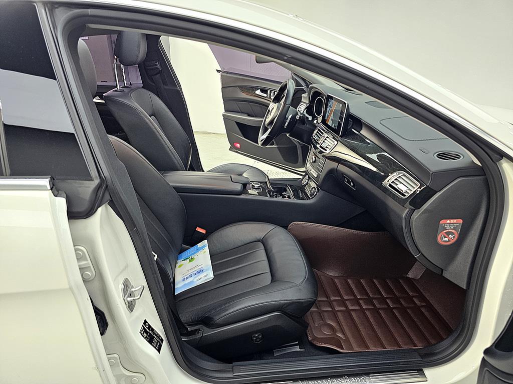 Mercedes Benz CLS Class - Vista 11