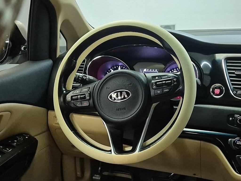 KIA Carnival - Vista 9