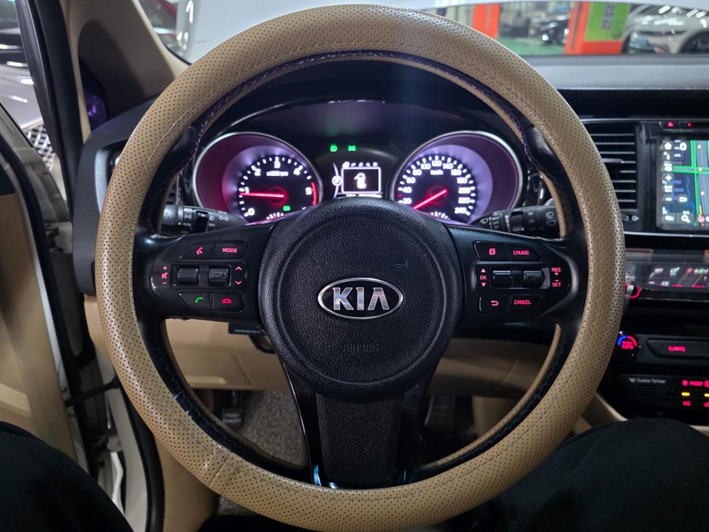 KIA Carnival - Vista 8