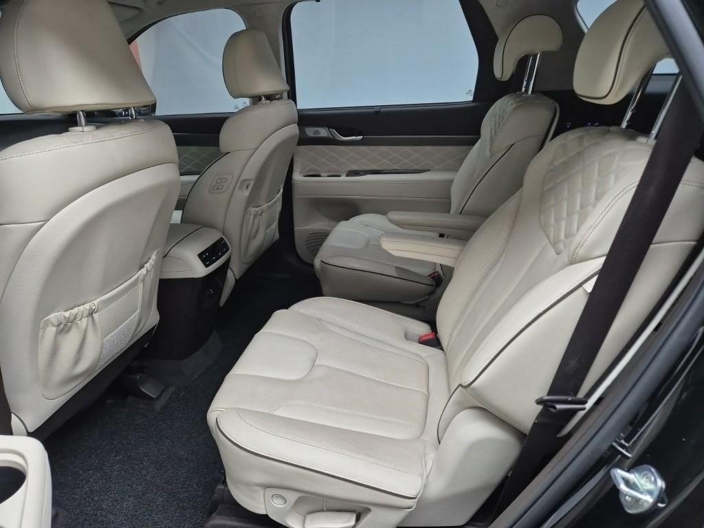 HYUNDAI Palisade - Vista 10