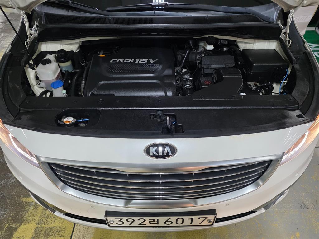 KIA Carnival - Vista 6