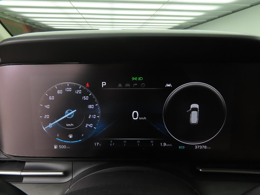 KIA Carnival - Vista 9