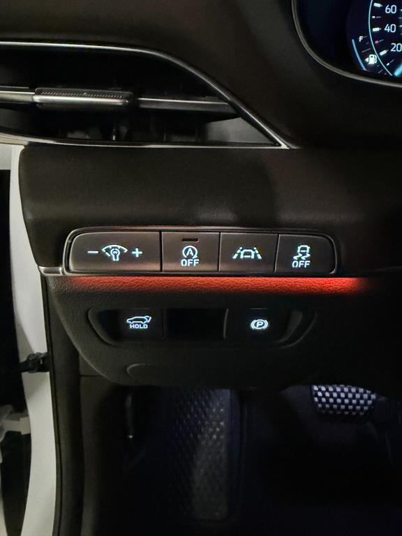 Genesis GV80 - Vista 10