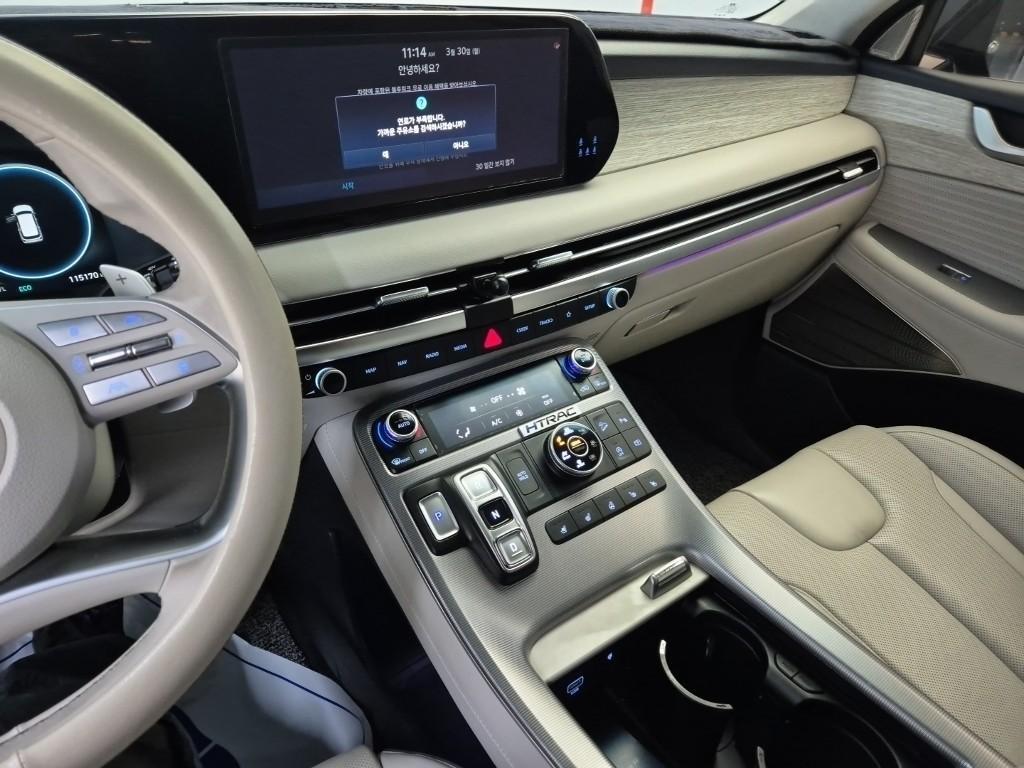 HYUNDAI Palisade - Vista 10