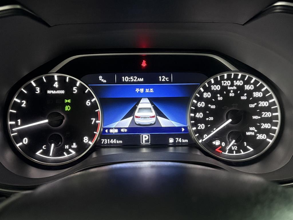 Nissan Maxima - Vista 10