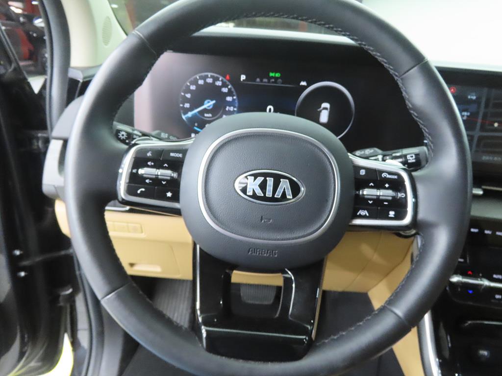 KIA Carnival - Vista 8