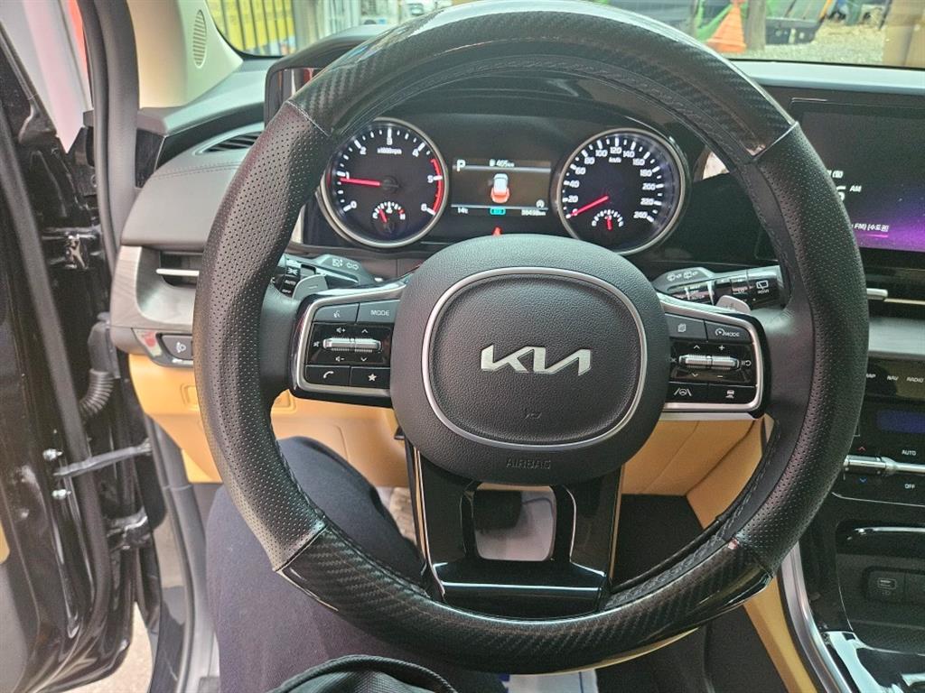 KIA Carnival - Vista 6
