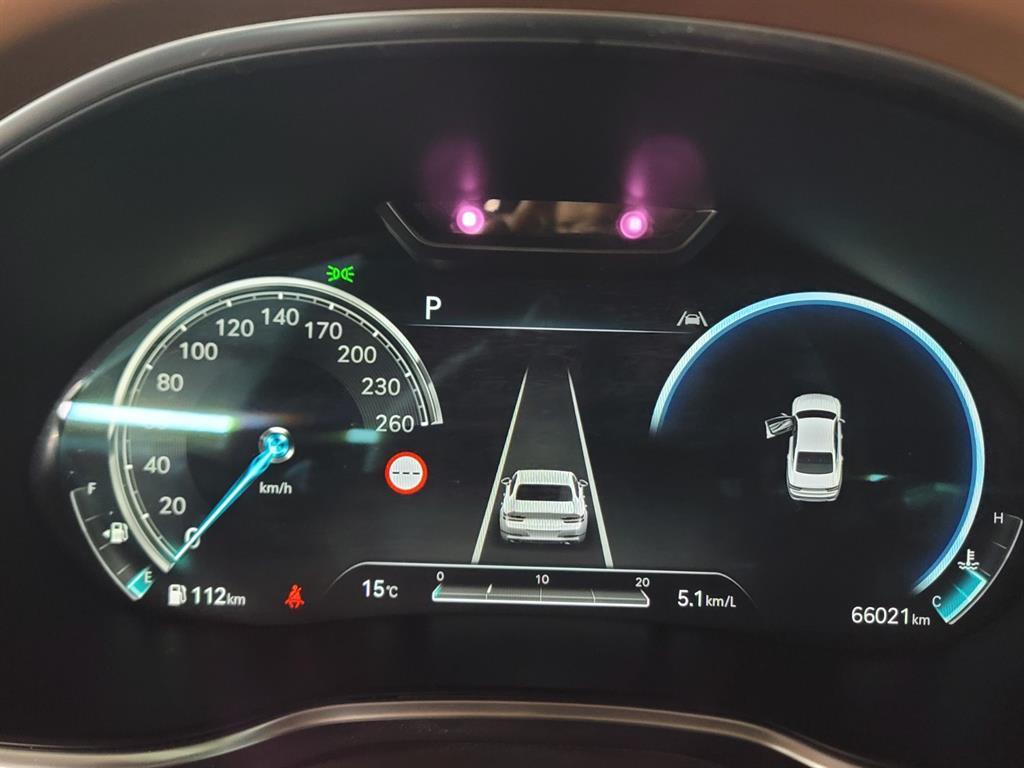 Genesis G80 - Vista 11