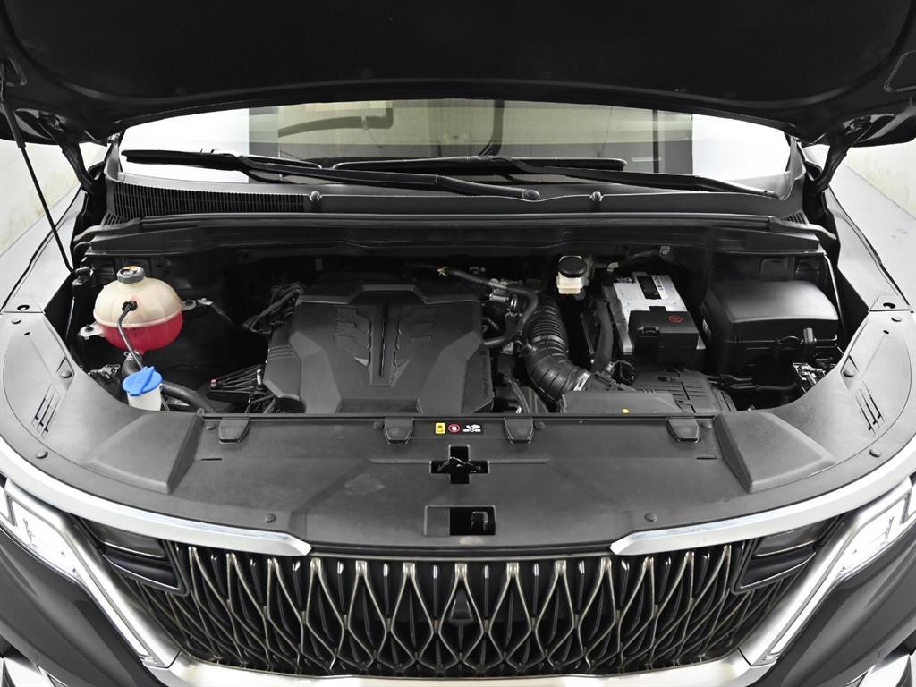 KIA Carnival - Vista 7