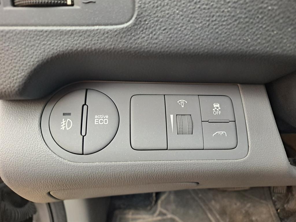 HYUNDAI Starex - Vista 10