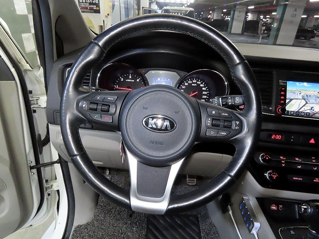 KIA Carnival - Vista 8