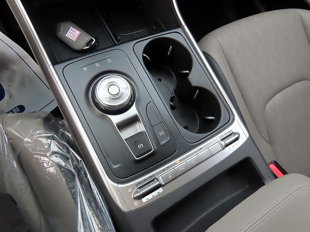 KIA Carnival - Vista 11