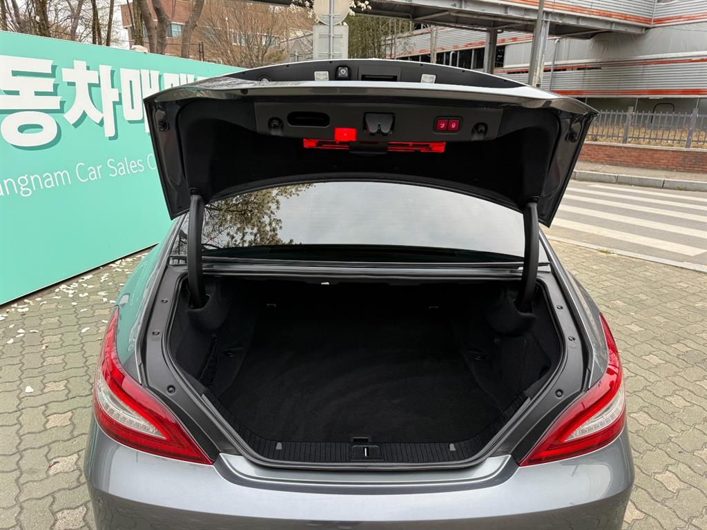 Mercedes Benz CLS Class - Vista 6